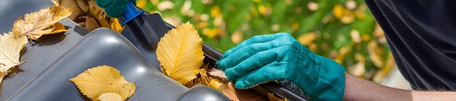 Tradie cleaning gutters