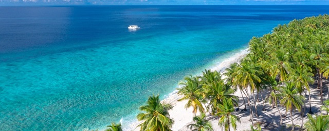 A boat out to sea on stunning blue water off the coast of an island laden with palm trees in the Maldives.