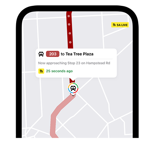 RAA Go app screen showing public transport information